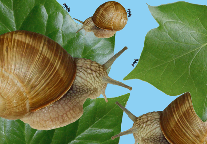 TC-arheologia-peisajului-lectura-arheologica