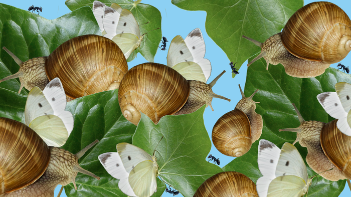 Arheologia peisajului header image