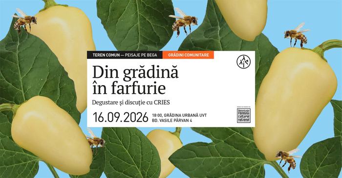 Din grădină în farfurie