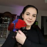Alina Ivașcu avatar